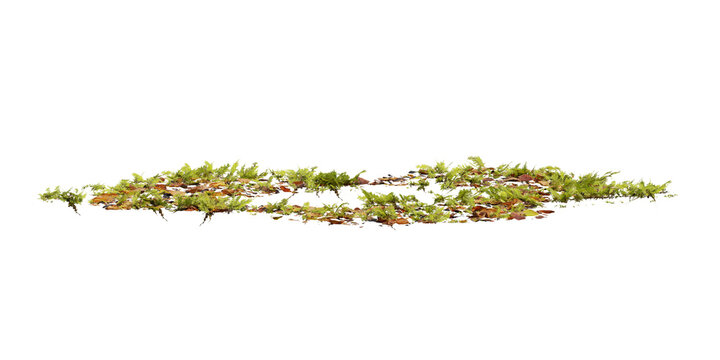 Small patch of 3d green grass and fallen leaves on a transparent background, natural elements, growth and decay