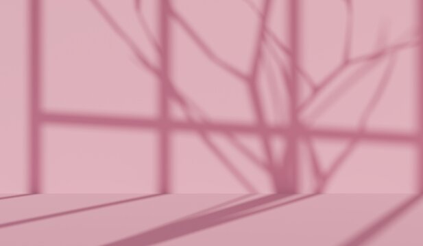Soft pink room with natural light casting tree branch and window pane shadows on wall and floor, tranquil atmosphere