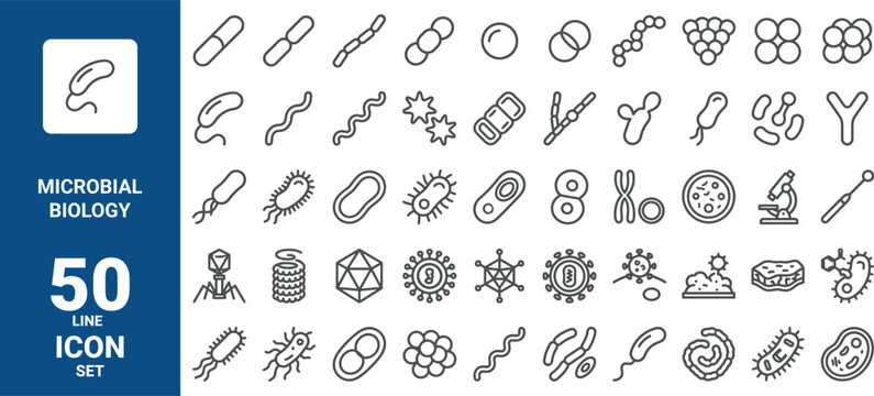 Set of 50 microbial biology line icons representing various bacteria, viruses, and laboratory equipment