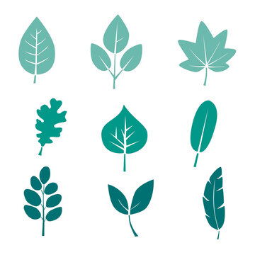 vector icon set of green leaves