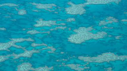  Aerial view of coral reef in shallow turquoise water © The Long Horizon