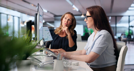 Fototapeta premium Woman Working On Laptop, Improving Business Workflows