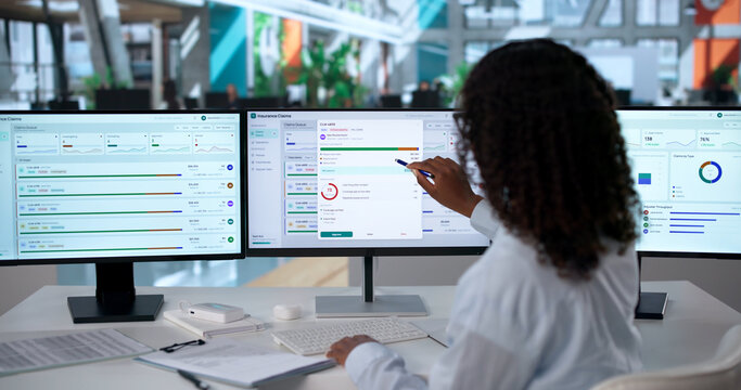 African Woman Insurance Adjuster Uses Software