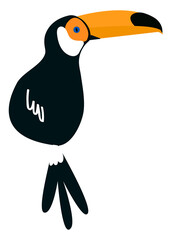 Obraz premium Toucan bird png illustration, transparent background