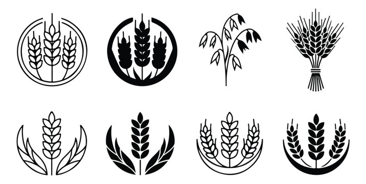 Wheat ear icons set, black cereal grain stalks and organic barley silhouettes, 8 agricultural vector elements for bakery logo design and food packaging