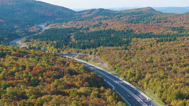 AERIAL: Modern highway curving between colourful forested hills in Croatia. Green, yellow, orange, and red foliage surrounds the roadway, bridges, and passing vehicles in a vivid autumn landscape.