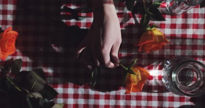 Person arranges delicate orange roses inside a transparent glass vase on a red and white checkered tablecloth to create a romantic atmosphere for a dinner party in a cozy indoor home environment.