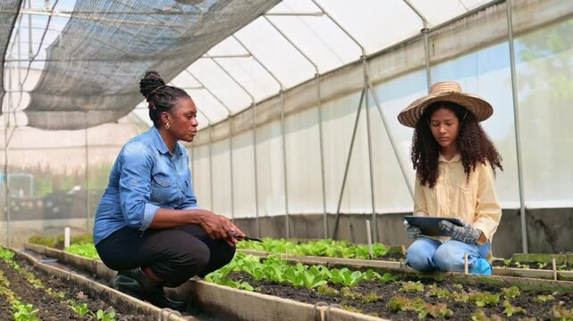 Mother teaching daughter gardening in greenhouse, Learn practical skills with mother while using modern technology in tablet step info smart farmer new generation