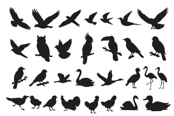 Obraz premium Vector illustration set of bird and poultry silhouettes featuring various flying and perched species isolated on white background.