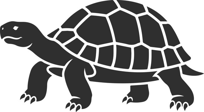 Black silhouette of a tortoise isolated on white background