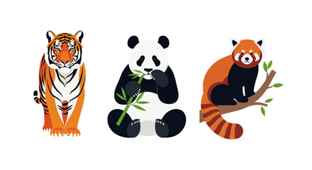 Fototapeta premium Asian wildlife animals vector set featuring tiger, giant panda eating bamboo, and red panda on tree branch isolated on white background