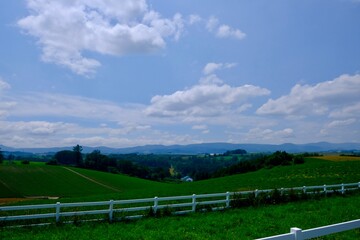 Fototapeta premium Green Rolling Hills under Blue Sky in Biei, Hokkaido, Japan
