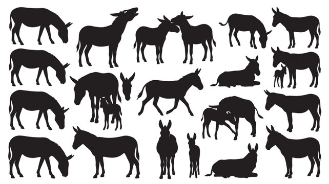 Donkey silhouette vector collection, farm animal silhouettes in various poses, black mule and burro icons set for rural agriculture design