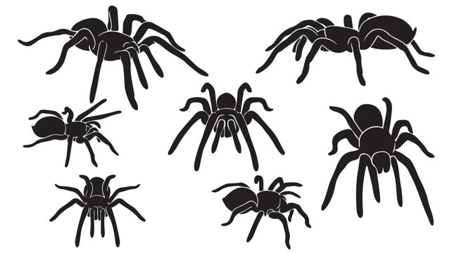 Black spider silhouette collection, 7 tarantula vector icons set, creepy arachnid insect illustrations for Halloween and nature design