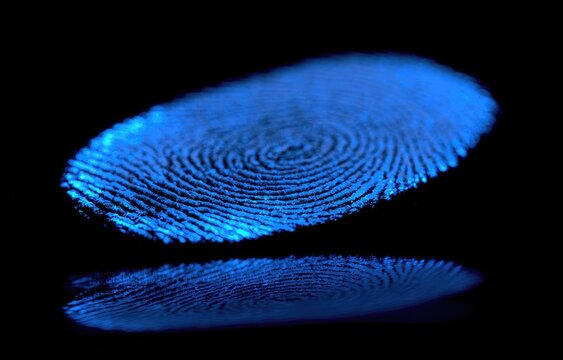 Glowing blue fingerprint with reflection on black