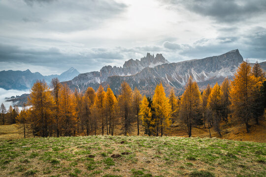 Autumn larch forest and famous mountain peaks in the Dolomites