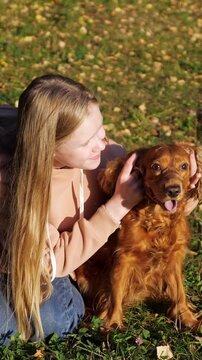 Young smiling girl with long blonde hair lovingly petting her adorable reddish brown english cocker spaniel on a grassy lawn covered in autumn leaves during a sunny day in the park