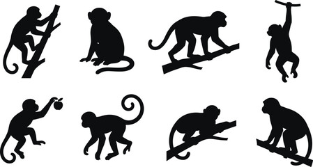 Vector set of black monkey silhouettes in various poses climbing and swinging on branches © Hafijul