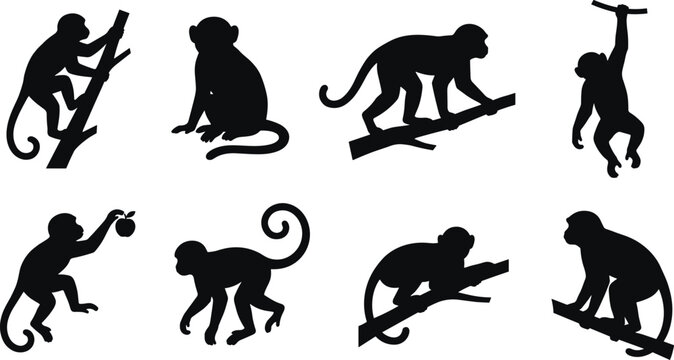 Vector set of black monkey silhouettes in various poses climbing and swinging on branches