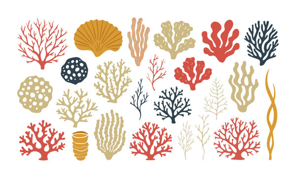 Marine Botanical Specimen Collection.