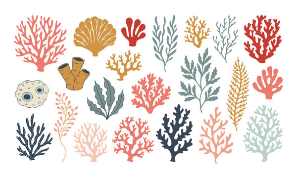 Colorful Coral And Sea Flora Collection.