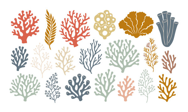 Ocean Coral And Algae Collection.