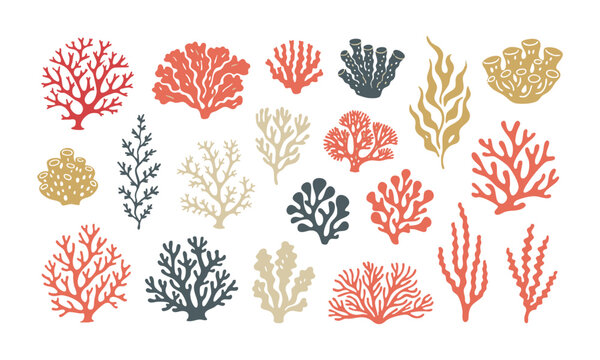 Vintage Coral Botanical Collection