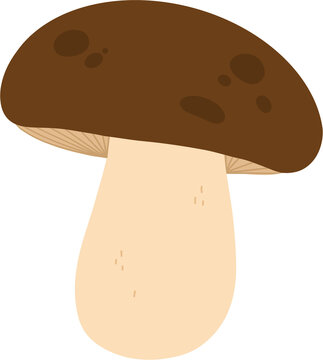 Mushroom