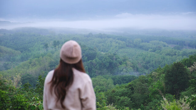 Blurred rear view of a woman looking at a beautiful foggy forest and mountain before sunrise
