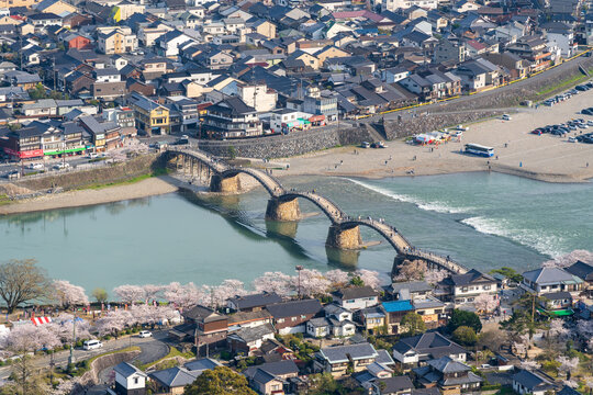 View of the Kintai Bridge and Kikko Park from above. Cherry blossoms along the Nishiki River bank. Iwakuni, Yamaguchi Prefecture, Japan.
