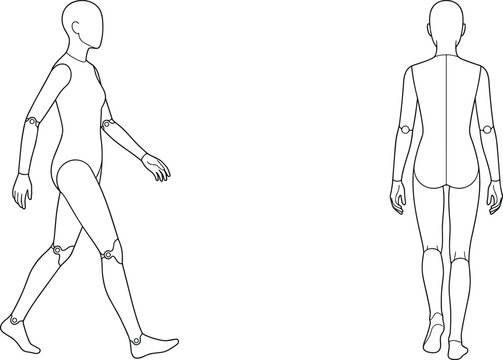 Female mannequin walking cycle line art turnaround drawing showing side and back anatomical reference views