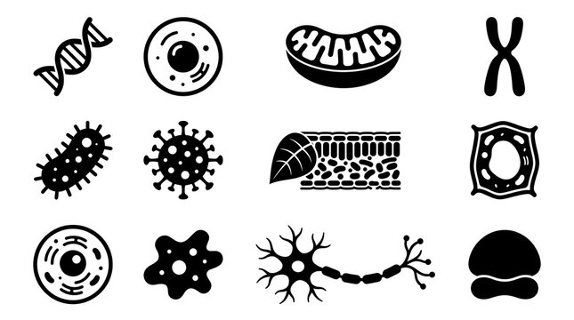 Biology and cell science icons set. Vector collection of microbiology and medical symbols.