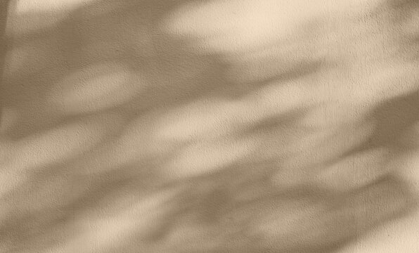 Minimal beige plaster wall texture with soft leaf shadows and copy space. Elegant neutral background for branding, skincare, product display, packaging and modern design.