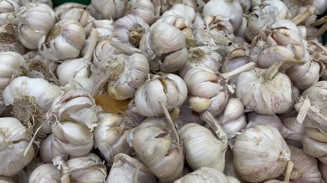 Macro shot of raw garlic bulbs pile with detailed skin texture