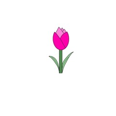 Fototapeta premium pink tulips in vase