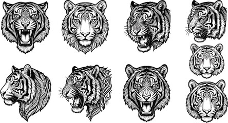 Detailed Tiger Head Line Art Vector Set Featuring Roaring and Calm Wild Cat Portraits with Intricate Mandala Patterns for Adult Coloring Pages and Tattoos © Remi