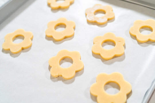 Cutout Cookies Ready for Oven