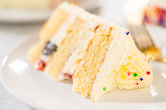 Plate with cake slice and sponge layers