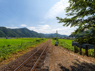 若桜鉄道「隼駅」から見る八頭町の田園風景 © しょこまろん