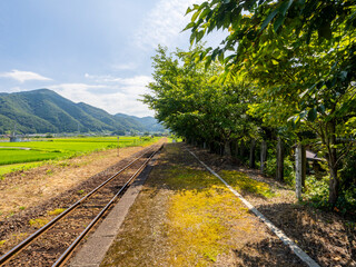若桜鉄道「隼駅」から見る八頭町の田園風景 © しょこまろん