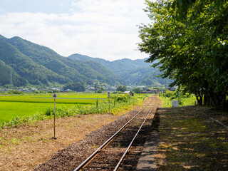 若桜鉄道「隼駅」から見る八頭町の田園風景 © しょこまろん