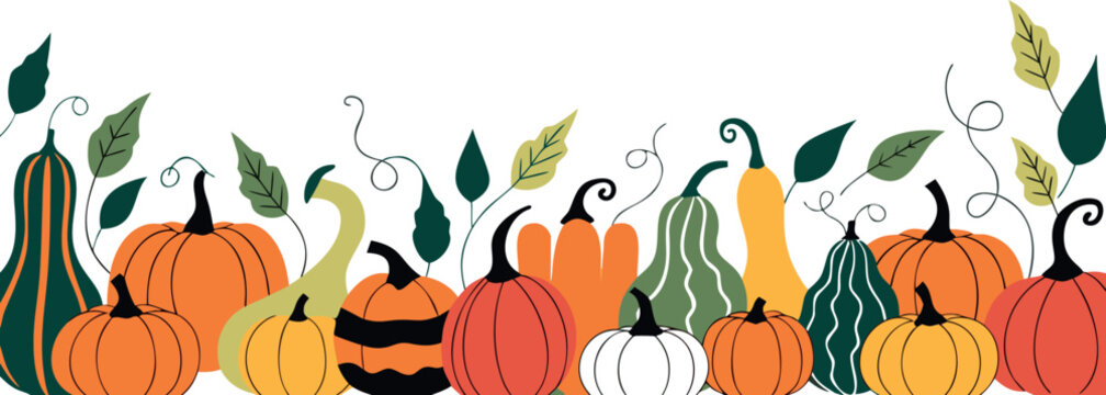 Autumn Harvest Pumpkin Border Vector on Transparent Background