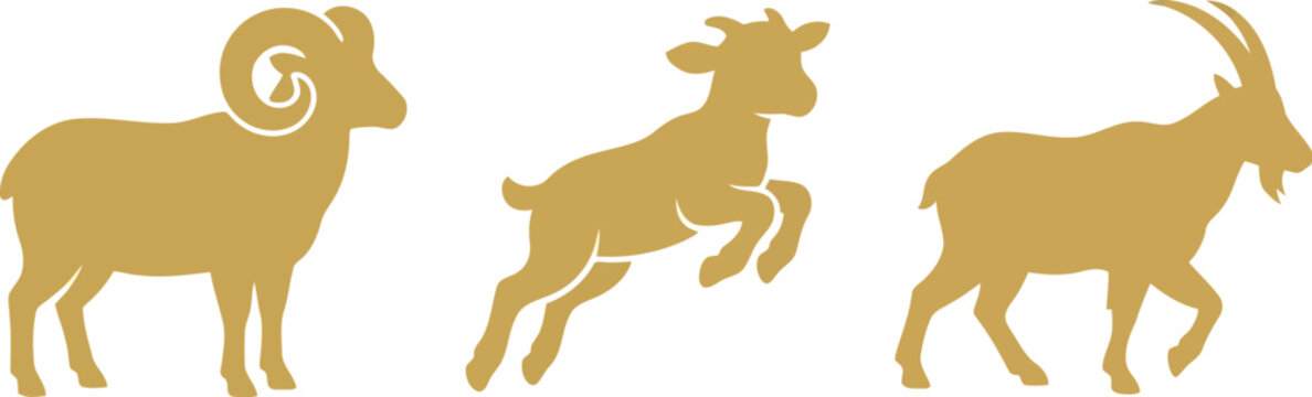 Set of golden silhouettes of a ram a jumping baby goat and a billy goat showing different animal poses isolated as simple flat vector graphic design elements