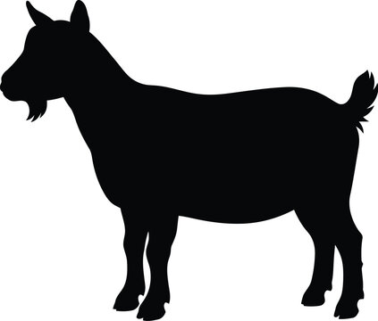 Black silhouette of a standing goat animal isolated on a simple plain backdrop