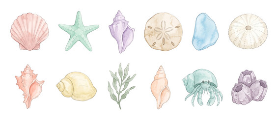 Obraz premium Watercolor seashell starfish clipart set featuring sea urchin sand dollar hermit crab seaweed barnacles ocean marine life icons isolated elements on black background for summer design context