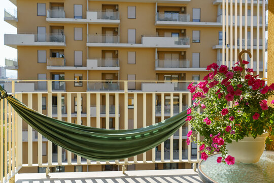Cozy apartment balcony featuring a green hammock, blooming pink petunias, and bright summer sunlight. A peaceful urban outdoor space designed for relaxation, comfort, and slow living