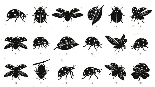 Ladybug Insect Black Silhouette Vector Icon Set Featuring Flying Beetles with Open Wings, Crawling Bugs on Leaves, and Decorative Garden Wildlife Graphic Elements