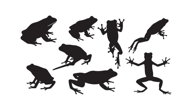 black and white silhouette set of frog very high quality vector illustration.
