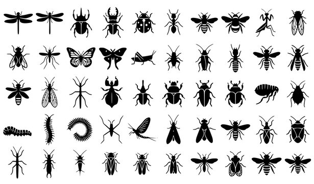 Insect Silhouette Vector Set with Beetles Bees Dragonflies and Bug Icons Isolated on White Background