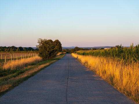 Sunset in a bavarian field
